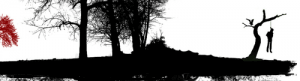 Image1